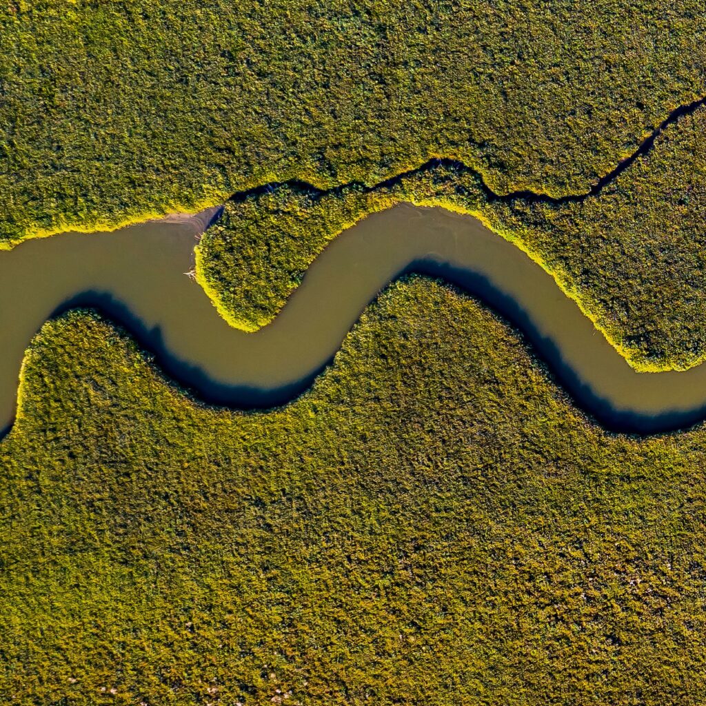 scarf-0017-ng-evros-delta-thrace-greece-1