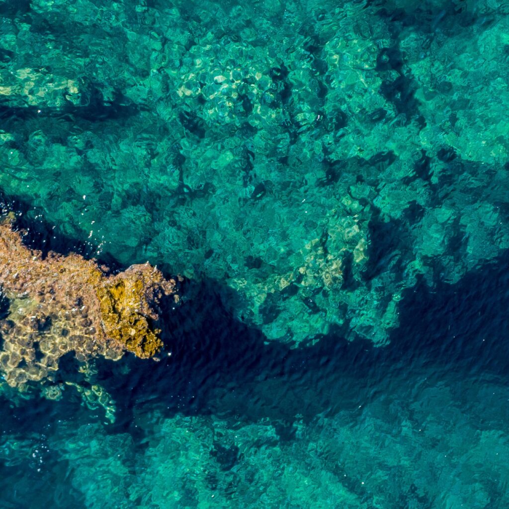 scarf-0018-ng-aegean-sea-greece-1