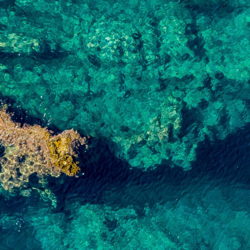 scarf-0018-ng-aegean-sea-greece-1