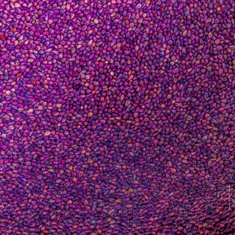 scarf-0020-ng-wine-process-greece-2